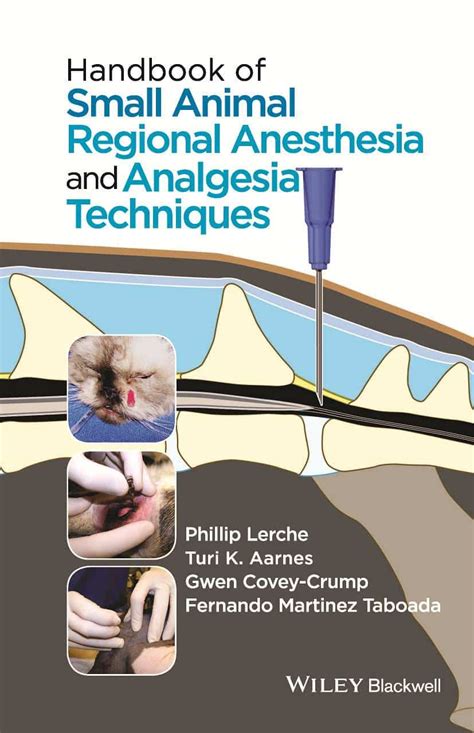 pdf online handbook regional anesthesia analgesia techniques Epub